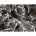 BioOST XENOGRAFT Mineral - губчатые костные гранулы с коллагеном, размер 0.25-1.0 мм, объем 0.5 сс | Cardioplant (Россия)