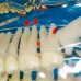 Study Model Transparent De Luxe - высококачественная прозрачная демонстрационная модель с различными клиническими случаями | Hager & Werken (Германия)