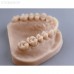 Gorky Liquid Dental Model FL SLA - фотополимерная смола для стоматологии, цвет персиковый, 1 кг | Gorky Liquid (Россия)