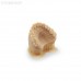 HARZ Labs Dental Model Beige - фотополимерная смола для печати моделей под термоформовку элайнеров и демонстрационных стоматологических моделей, цвет бежевый, 0.5 кг | HARZ Labs (Россия)