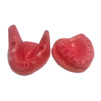E34G – сменные десны для фантомной челюсти, эластичные, розовые |GF Dental  (Италия)