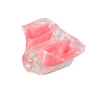 E20N – модель верхней челюсти для практики синус-лифтинга | GF Dental (Италия) 