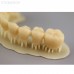Gorky Liquid Dental Crown FL SLA - фотополимерная смола для стоматологии, цвет А1-А2, А2, А3 по шкале Вита, 1 кг | Gorky Liquid (Россия)
