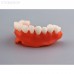 Gorky Liquid Dental Base LCD/DLP - фотополимерная смола для демонстрационных моделей десны, цвет розовый, 1 кг | Gorky Liquid (Россия)