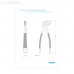 Щипцы N38A для удаления корней нижней челюсти | Asa Dental (Италия)