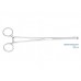 Зажим медицинский, 24 см | HLW Dental Instruments (Германия)