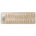 SET OF 28 MELAMIN TEETH - набор из 28 меломиновых зубов для фантомной челюсти | Hanil (Ю. Корея)