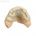 HARZ Labs Dental RO - фотополимерная смола с рентгеноконтрастным наполнителем для проведения компьютерной томографии, цвет белый, 1 кг | HARZ Labs (Россия)