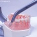 Щипцы Slim для мягкий тканей, изогнутые, ручка с пружиной, длина 160 мм | YDM (Япония)